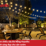 Đèn chiếu cây Đà Nẵng Hapollo: Ánh sáng đẹp cho sân vườn