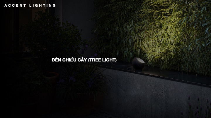Các loại đèn chiếu sáng cho không gian nội thất Đèn chiếu cây (Tree light):